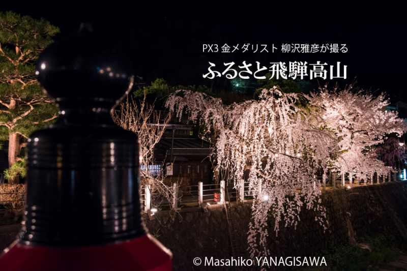 桜で彩られた春の飛騨高山の夜景　撮影・柳沢雅彦