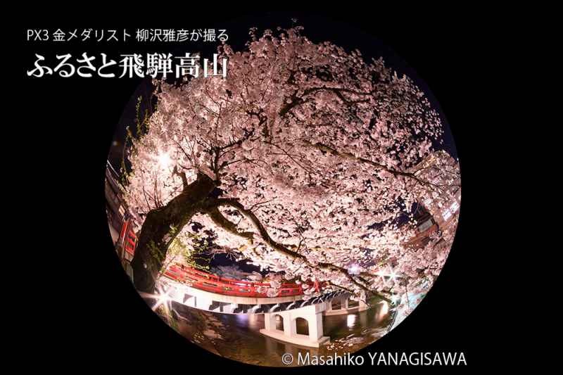 桜で彩られた春の飛騨高山の夜景　撮影・柳沢雅彦