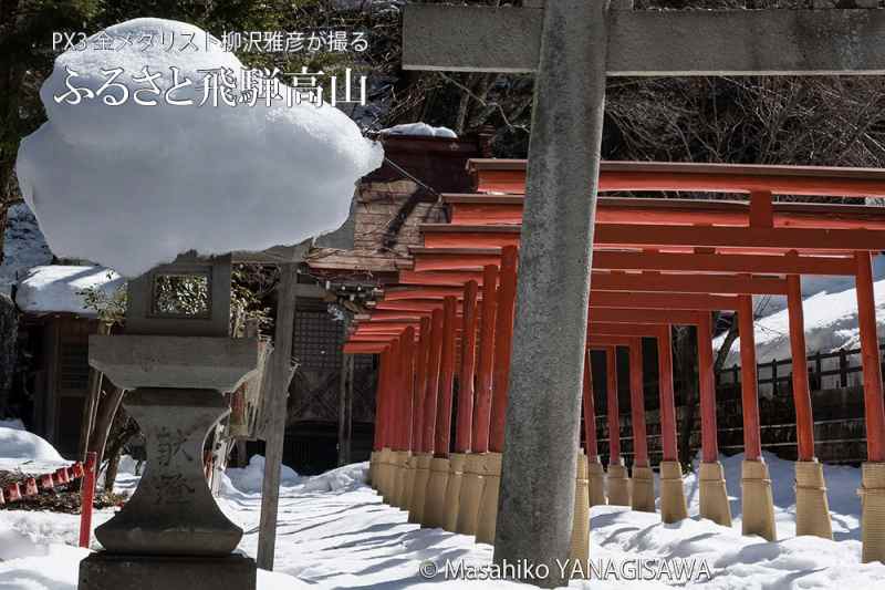 春とは名ばかりの雪深い飛騨高山　撮影・柳沢雅彦