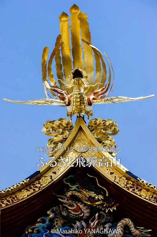 春の高山祭（山王祭）の観光写真です　撮影・柳沢雅彦