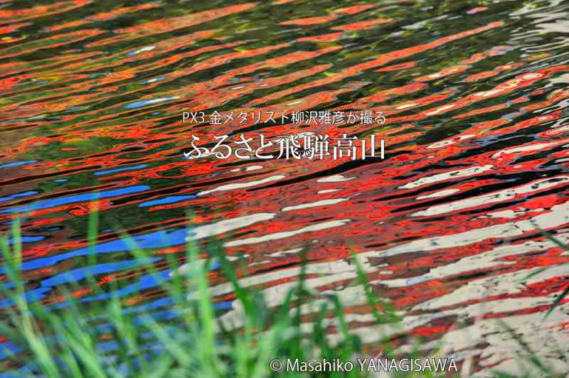 夏の飛騨高山(中橋周辺の赤く染まった水面)　撮影・柳沢雅彦