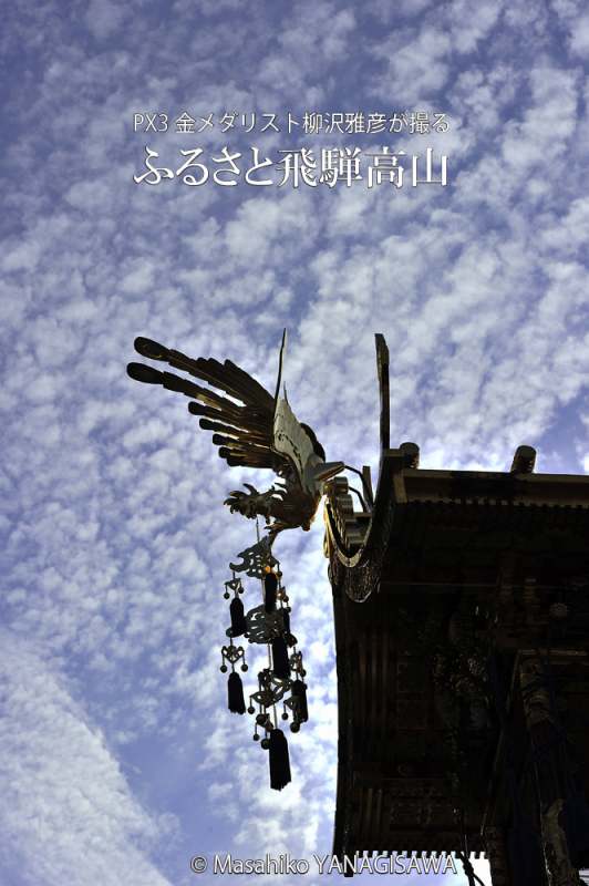 秋の高山祭（八幡祭）　撮影・柳沢雅彦